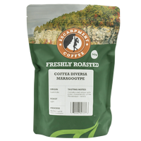 Coffea Diversa Maragogype