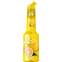 Mixer Yuzu Syrup Puree - 1L