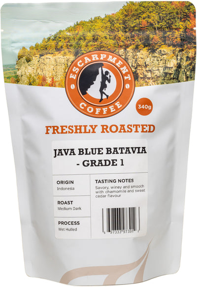 Java Blue Batavia - Grade 1