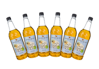 Sweetbird Hazelnut Sugar-Free Syrup - Case of 6 (6 x 1L)